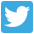 ico_twiter